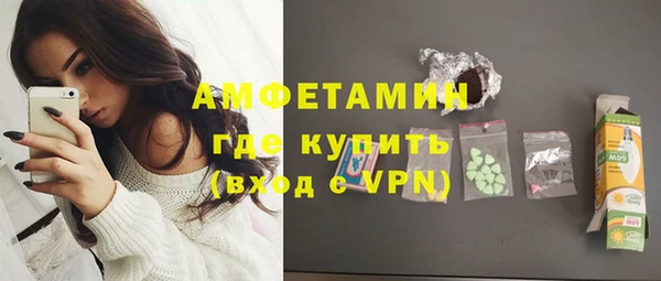 стаф Пересвет