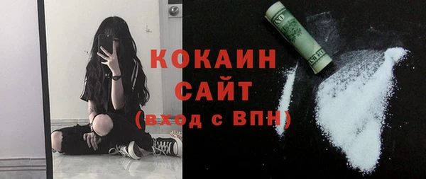 стаф Пересвет
