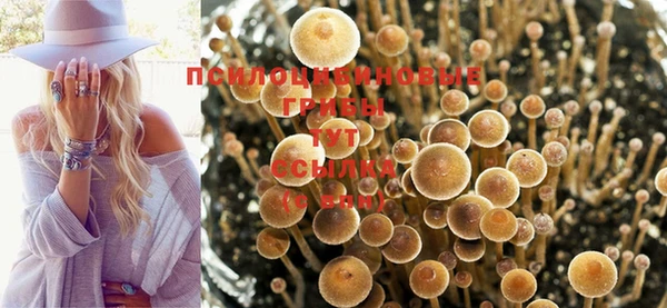 гашиш Переславль-Залесский