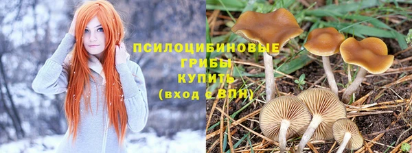 дживик Покров
