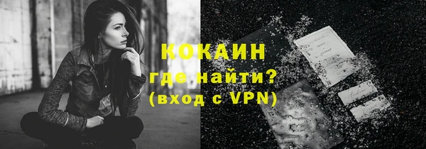 стаф Пересвет