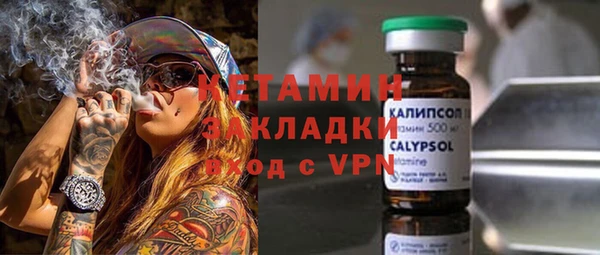 стаф Пересвет