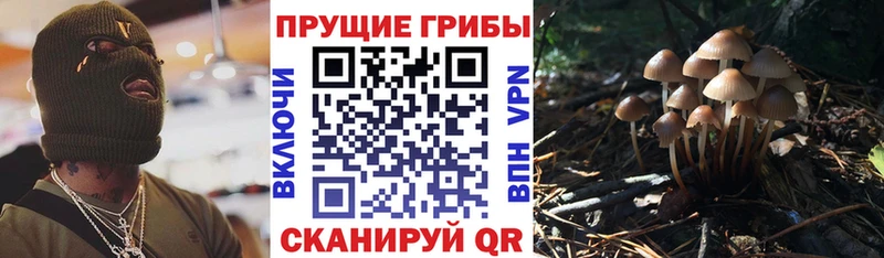 Галлюциногенные грибы Magic Shrooms  Сосновка 